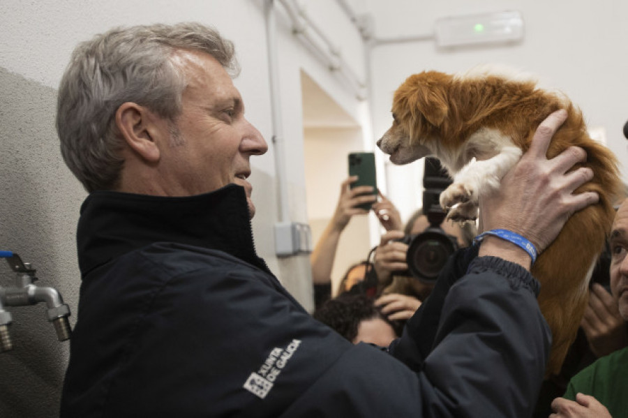 La Xunta estima que las ayudas para gastos veterinarios permitirán adoptar mil animales