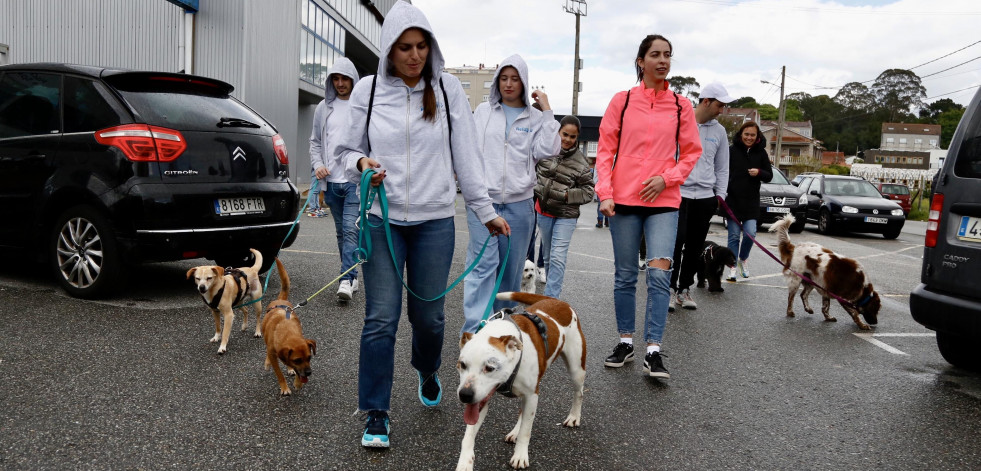 El Refugio de Cambados da el pistoletazo de salida a su 25 aniversario con un paseo solidario